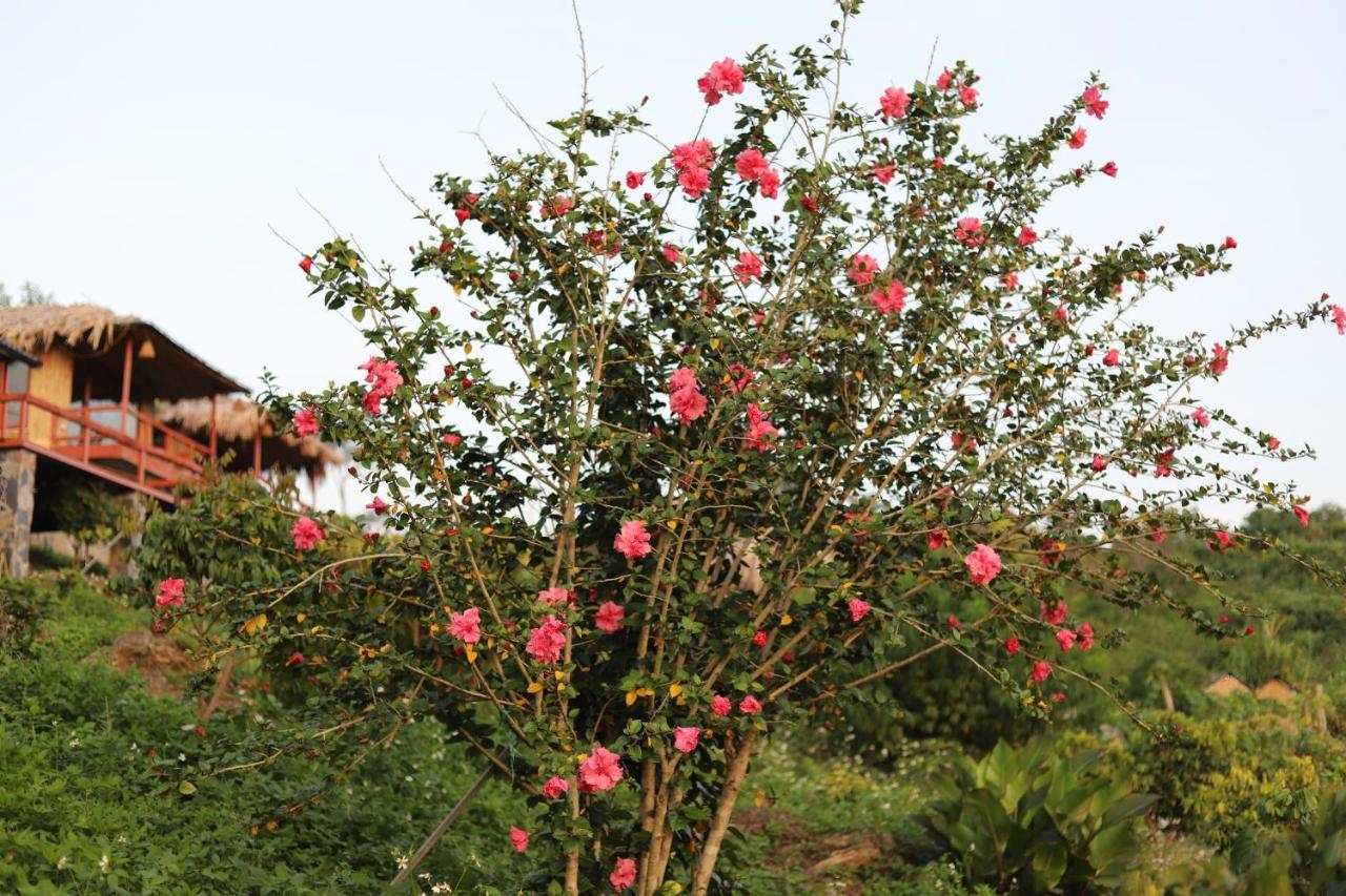 Moc Chau Peachy Garden Lejlighed Eksteriør billede