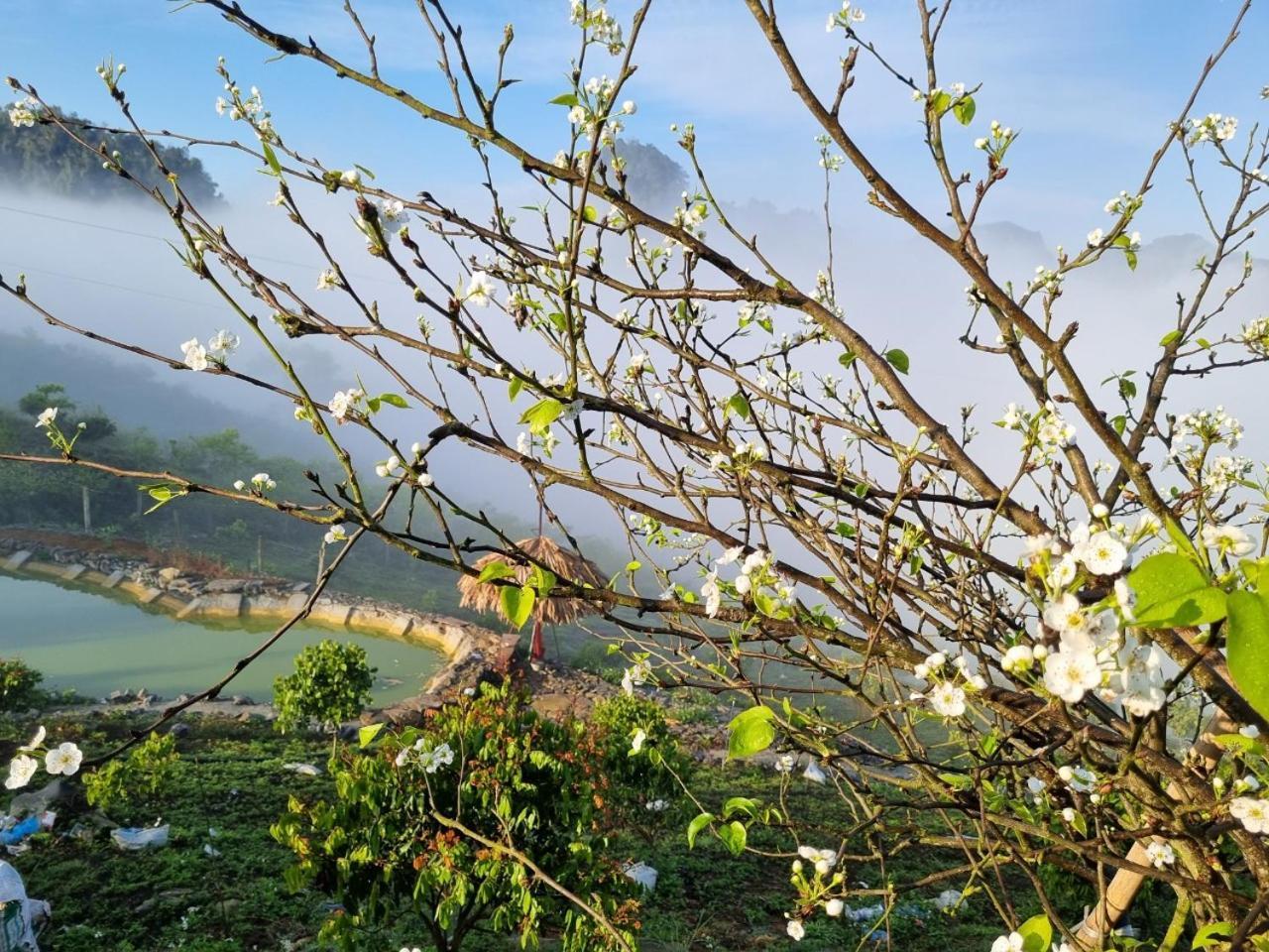 Moc Chau Peachy Garden Lejlighed Eksteriør billede